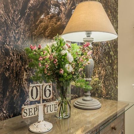 B&B L'Ulivo Fiumicino Luaran gambar